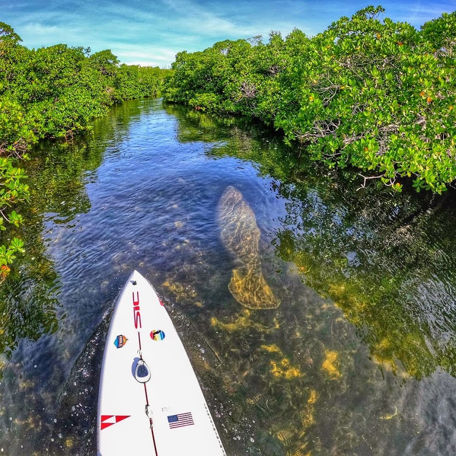 everglades paddle boarding