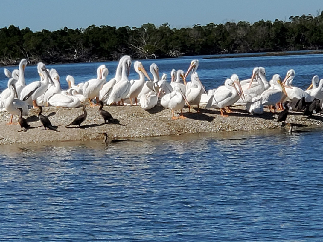 everglades-full-day-tour